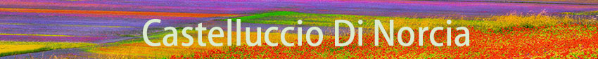 sahara